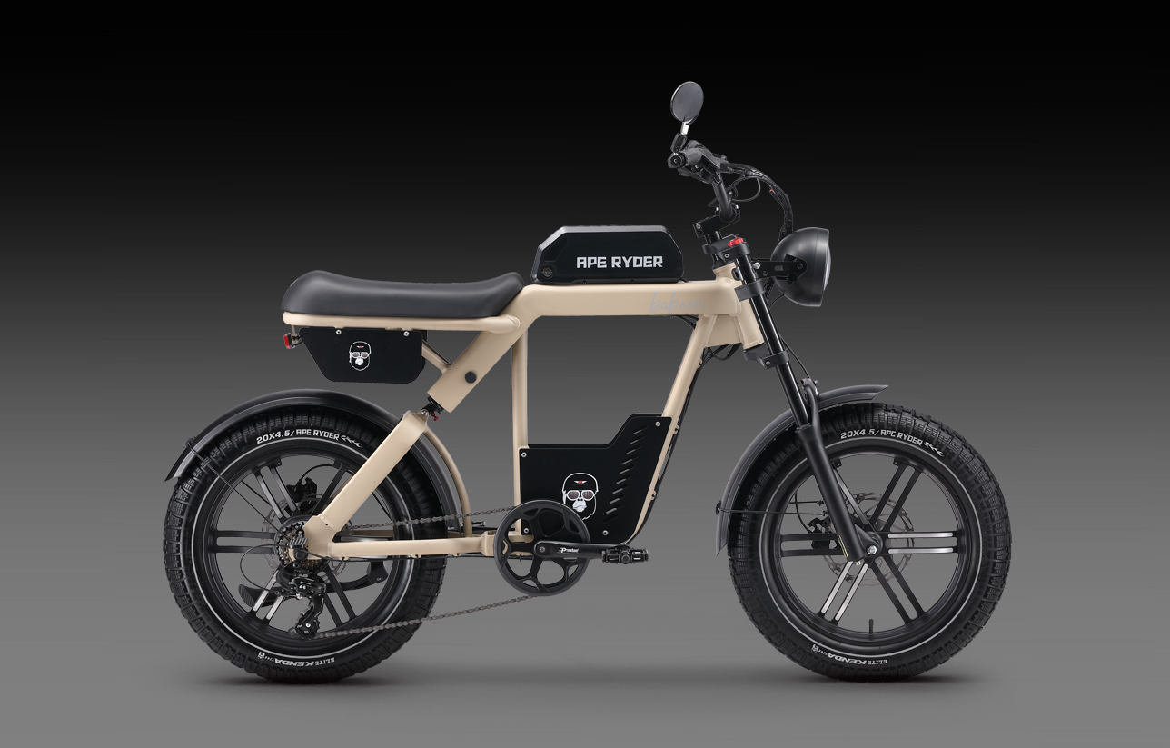 APE RYDER BABBON E-BİKE